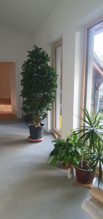 Glueckliches_Landleben_Projektfortschritt_6_Bauabschnitt_3